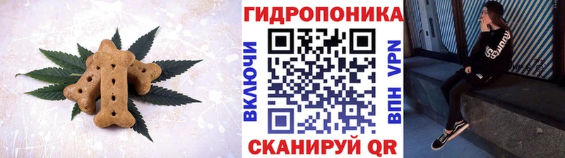 Cannafood конопля  Гвардейск 