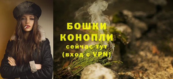 apvp Белая Холуница