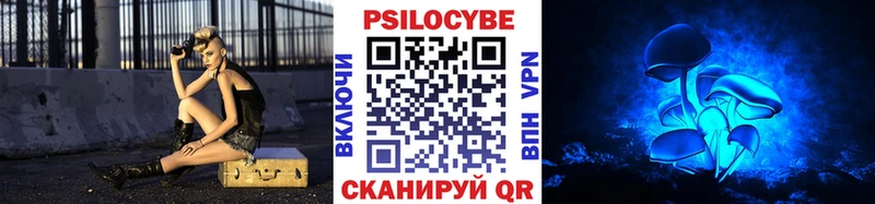 Псилоцибиновые грибы Psilocybe  сколько стоит  Гвардейск 