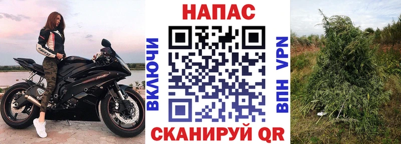 блэк спрут как зайти  Гвардейск  Бошки марихуана Bruce Banner 